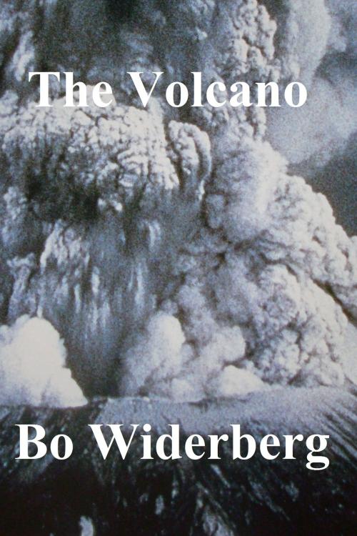 Cover of the book The Volcano by Bo Widerberg, Bo Widerberg