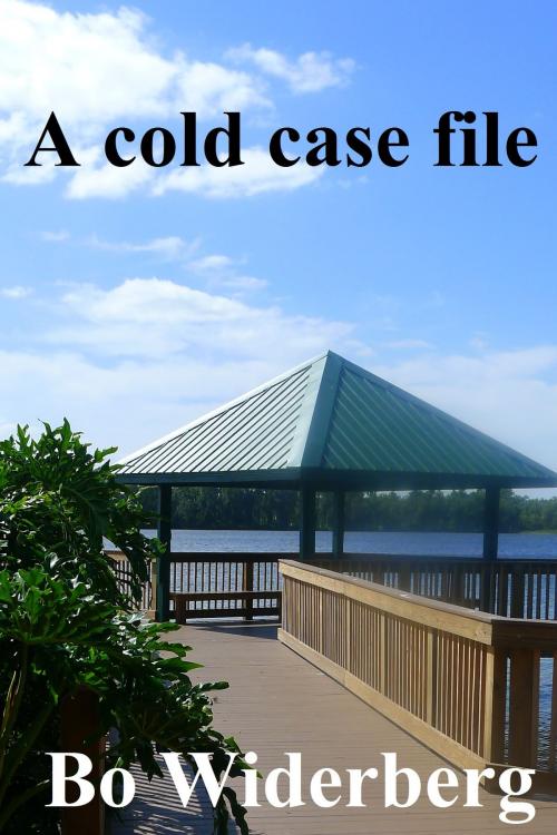 Cover of the book A Cold Case File by Bo Widerberg, Bo Widerberg