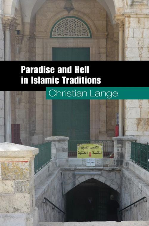 Cover of the book Paradise and Hell in Islamic Traditions by Christian Lange, Cambridge University Press