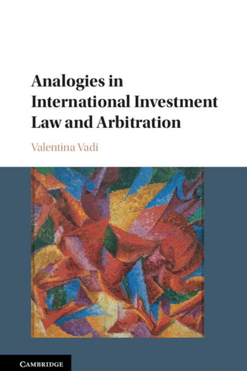 Cover of the book Analogies in International Investment Law and Arbitration by Valentina Vadi, Cambridge University Press