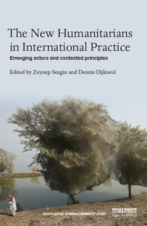 Cover of the book The New Humanitarians in International Practice by , Taylor and Francis