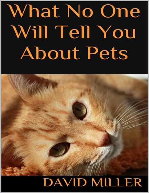 Cover of the book What No One Will Tell You About Pets by David Miller, Lulu.com