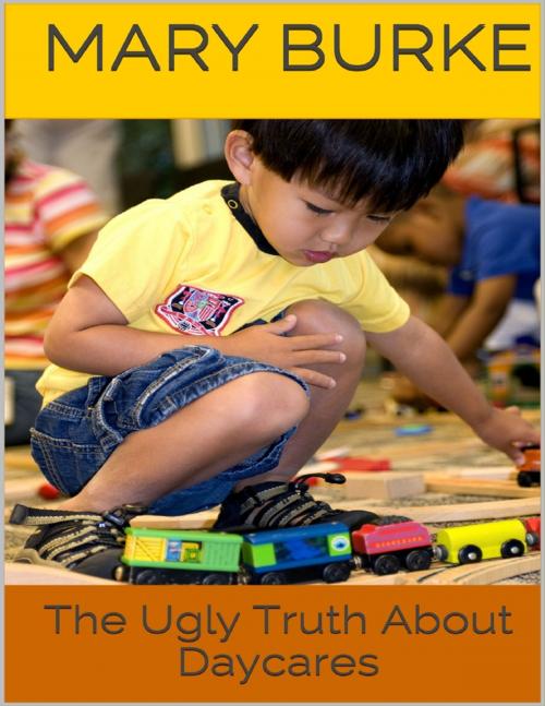 Cover of the book The Ugly Truth About Daycares by Mary Burke, Lulu.com