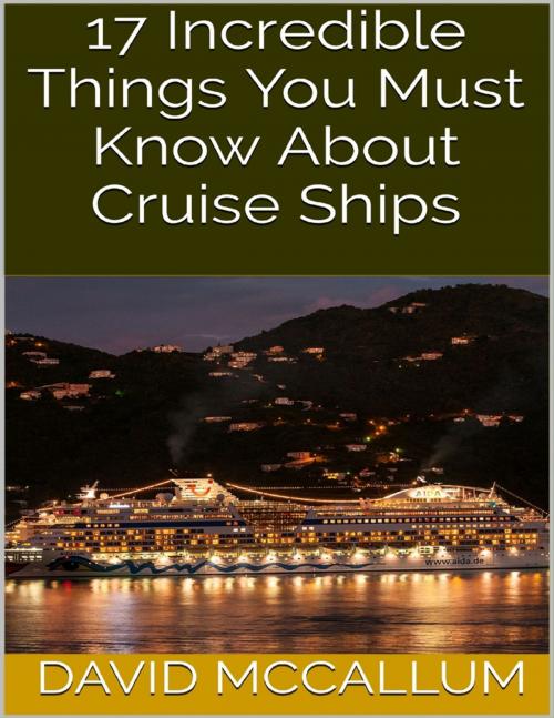 Cover of the book 17 Incredible Things You Must Know About Cruise Ships by David McCallum, Lulu.com