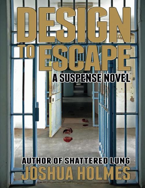 Cover of the book Design to Escape by Joshua Holmes, Lulu.com