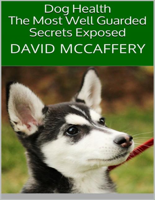 Cover of the book Dog Health: The Most Well Guarded Secrets Exposed by David McCaffery, Lulu.com