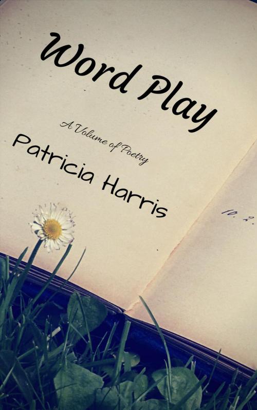 Cover of the book Word Play by Patricia Harris, Serenity Studios crafting and publishing group
