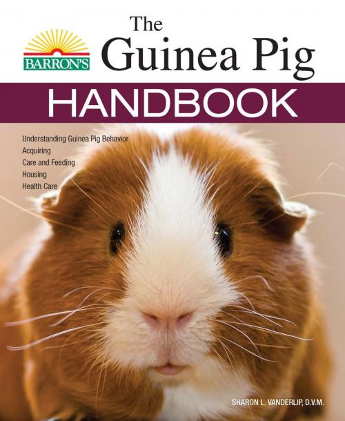 Cover of the book The Guinea Pig Handbook by Sharon Lynn Vanderlip, DVM, Barron's Educational Series
