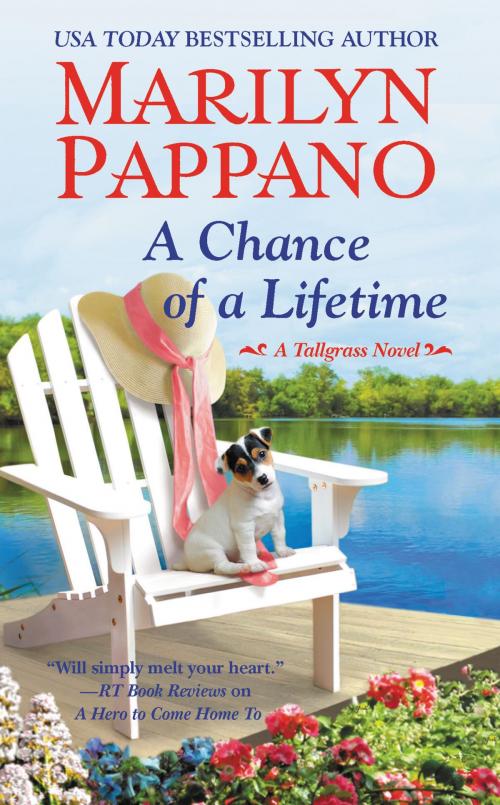 Cover of the book A Chance of a Lifetime by Marilyn Pappano, Grand Central Publishing