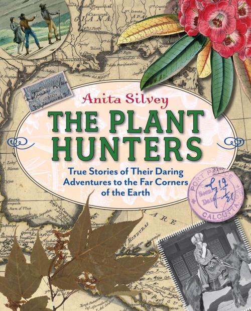 Cover of the book The Plant Hunters by Anita Silvey, Farrar, Straus and Giroux (BYR)