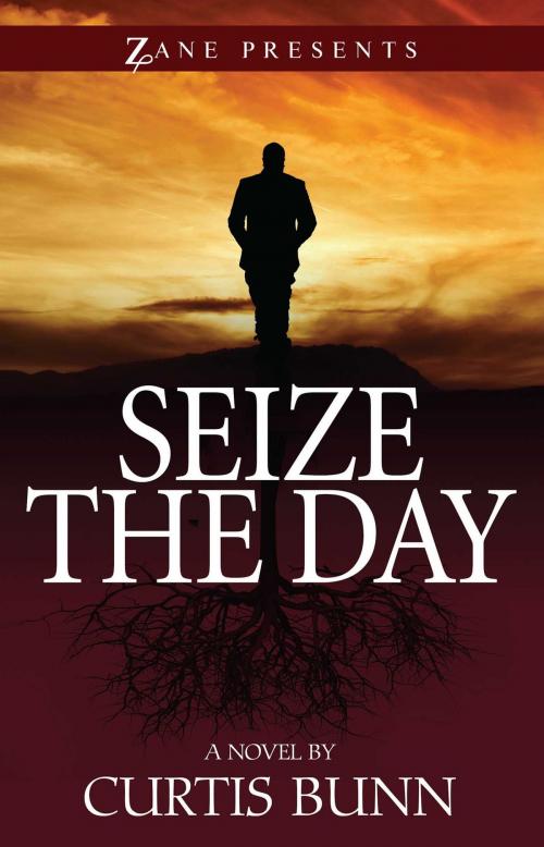 Cover of the book Seize the Day by Curtis Bunn, Strebor Books
