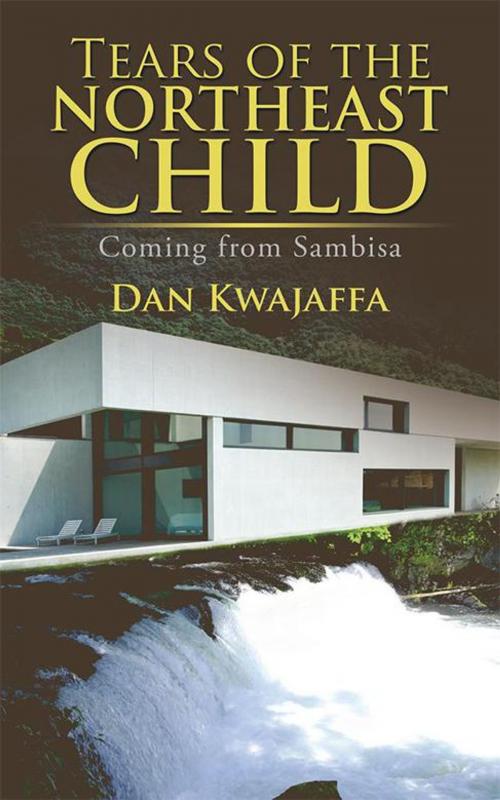 Cover of the book Tears of the Northeast Child by Dan Kwajaffa, Partridge Publishing Africa