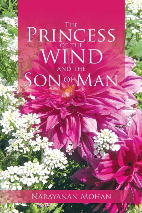 Cover of the book The Princess of the Wind and the Son of Man by Narayanan Mohan, Partridge Publishing India