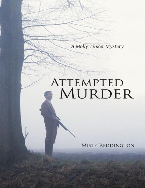 Cover of the book Attempted Murder: A Molly Tinker Mystery by Misty Reddington, Lulu Publishing Services