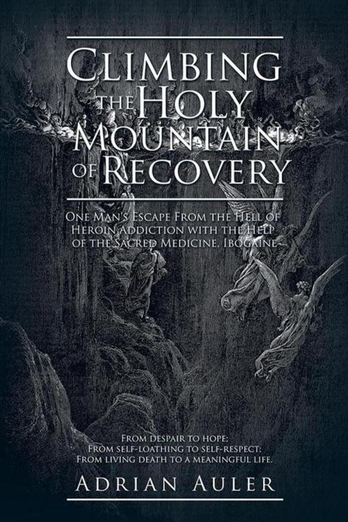 Cover of the book Climbing the Holy Mountain of Recovery by Adrian Auler, Trafford Publishing