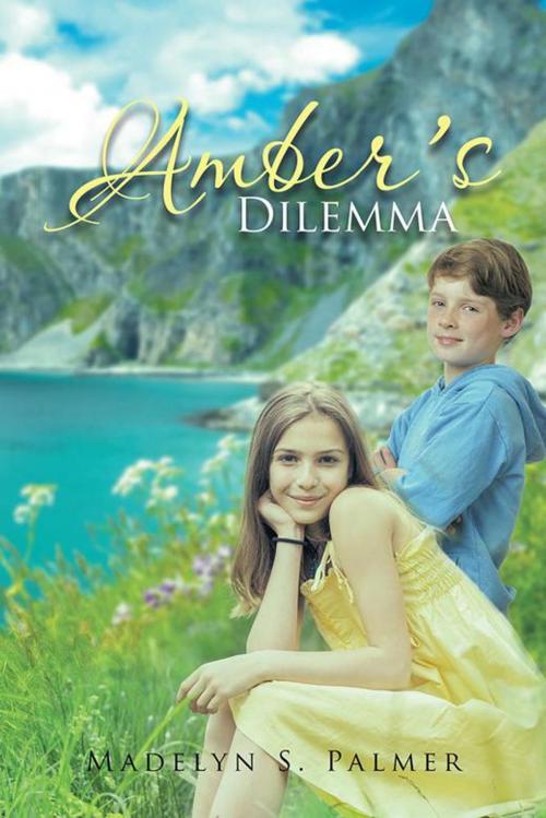 Cover of the book Amber's Dilemma by Madelyn S. Palmer, Trafford Publishing