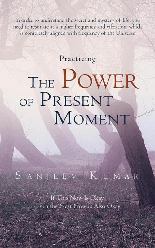 Cover of the book Practicing the Power of Present Moment by Sanjeev Kumar, iUniverse