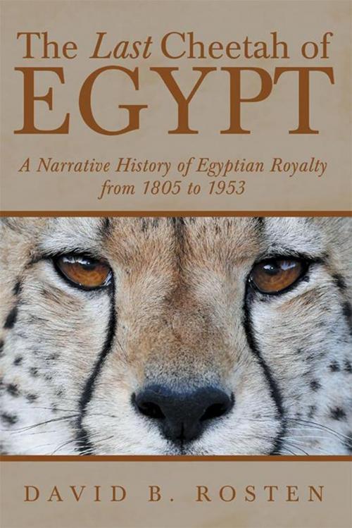 Cover of the book The Last Cheetah of Egypt by David B. Rosten, iUniverse