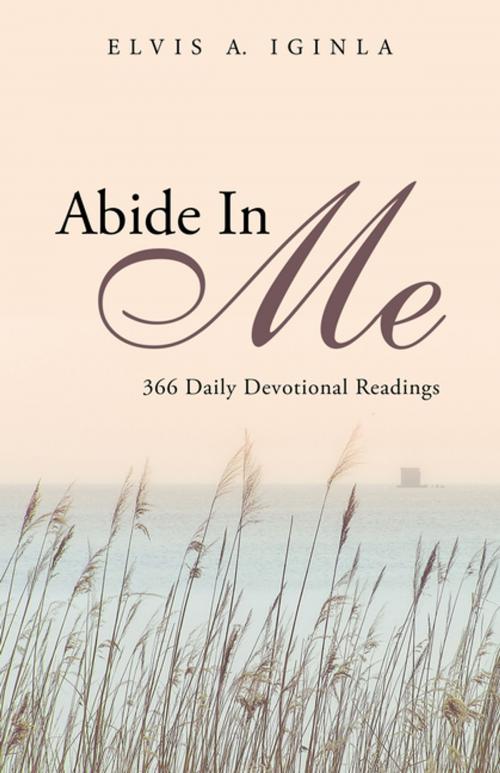 Cover of the book Abide in Me by Elvis A. Iginla, iUniverse