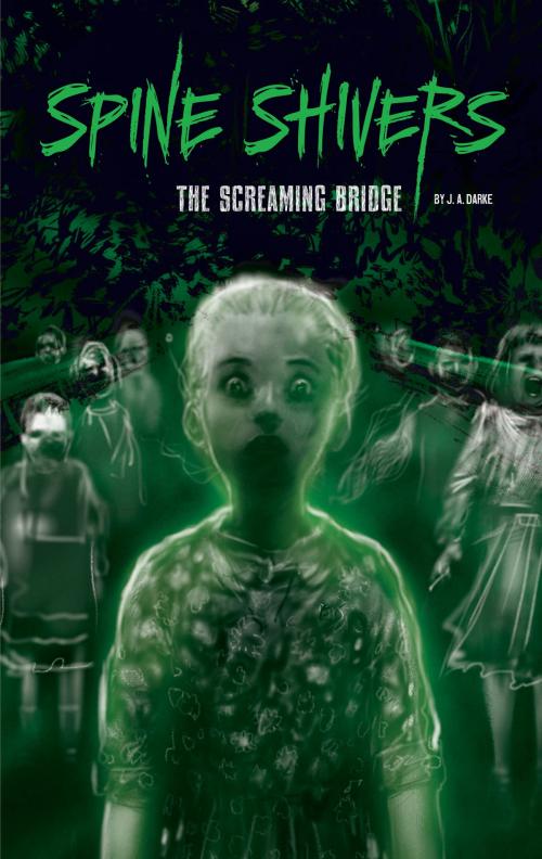 Cover of the book The Screaming Bridge by J. A. Darke, Capstone