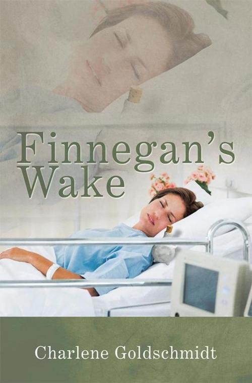 Cover of the book Finnegan’S Wake by Charlene Goldschmidt, Xlibris US