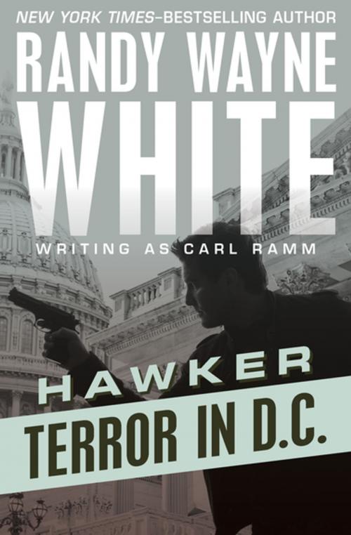 Cover of the book Terror in D.C. by Randy Wayne White, Open Road Media