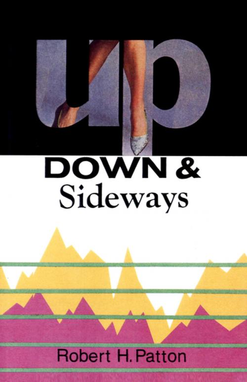 Cover of the book Up, Down & Sideways by Robert H. Patton, The Permanent Press (ORD)