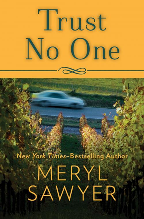 Cover of the book Trust No One by Meryl Sawyer, Open Road Media