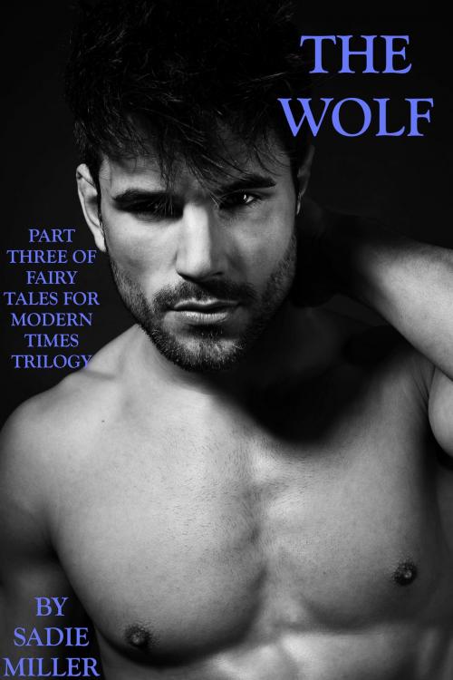 Cover of the book The Wolf - The Third in the Fairy Tales for Modern Times Trilogy by Sadie Miller, Excessica