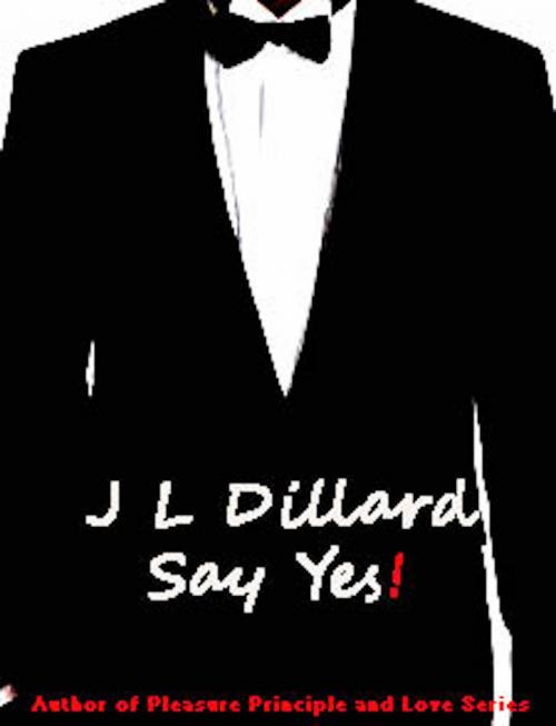 Cover of the book Say Yes! by J.L. Dillard, Excessica