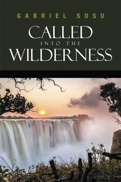 Cover of the book Called into the Wilderness by Gabriel Sosu, AuthorHouse
