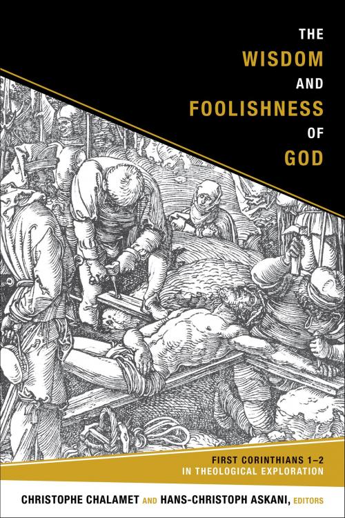 Cover of the book The Wisdom and Foolishness of God by , Fortress Press