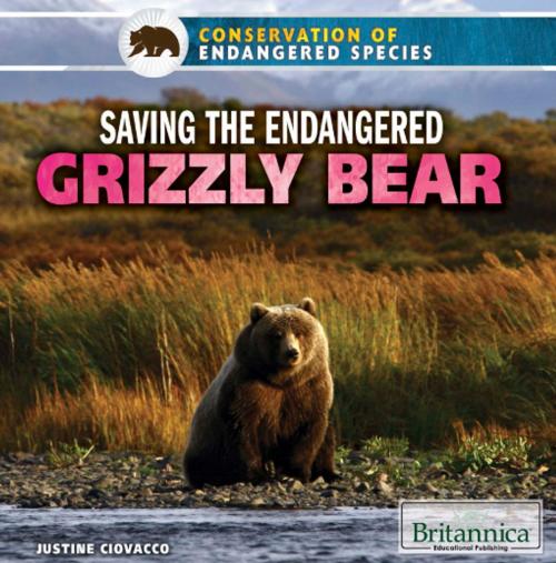 Cover of the book Saving the Endangered Grizzly Bear by Tracey Baptiste, Britannica Educational Publishing