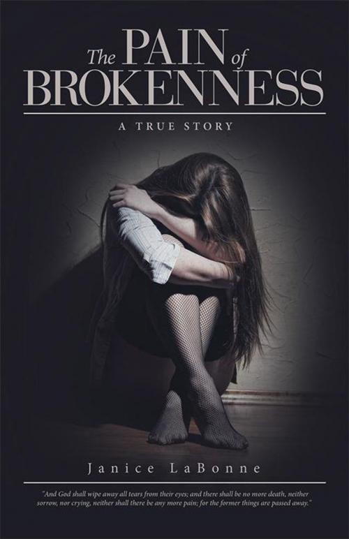 Cover of the book The Pain of Brokenness by Janice LaBonne, WestBow Press