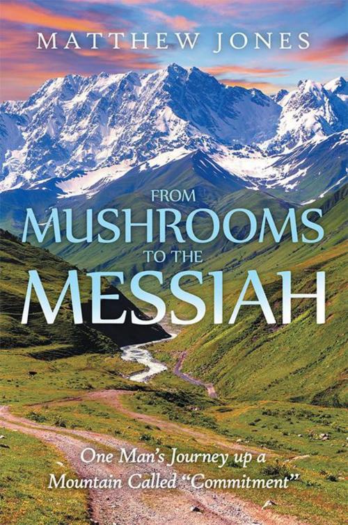 Cover of the book From Mushrooms to the Messiah by Matthew Jones, WestBow Press