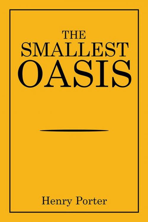 Cover of the book The Smallest Oasis by Henry Porter, Xlibris US
