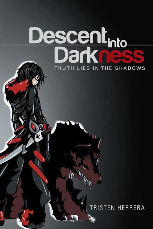 Cover of the book Descent into Darkness by Tristen Herrera, Xlibris US