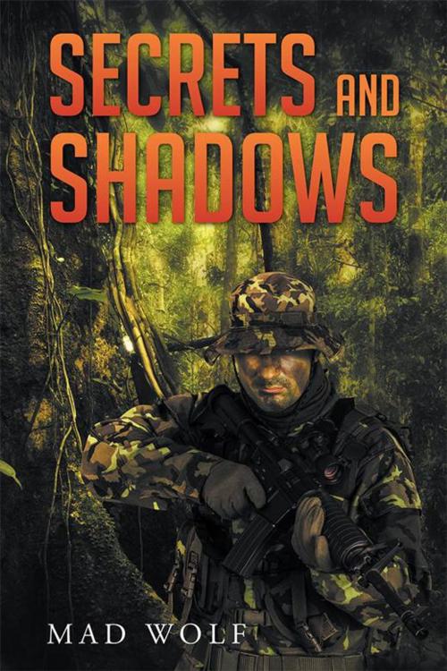 Cover of the book Secrets and Shadows by Mad Wolf, Xlibris US