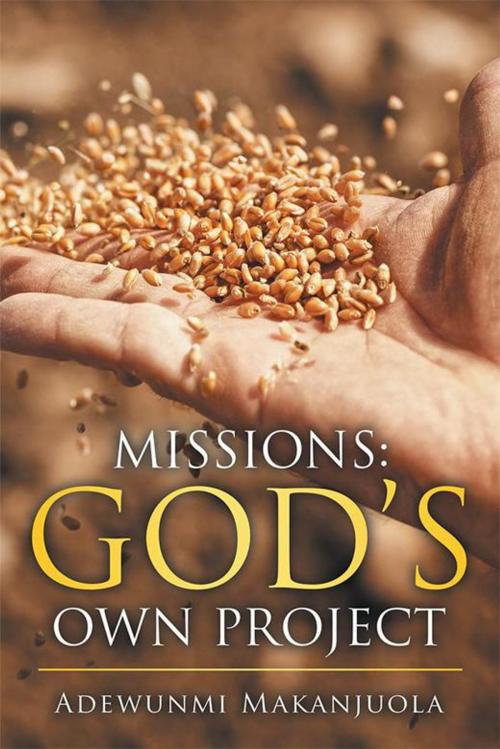 Cover of the book Missions: God's Own Project by Adewunmi Makanjuola, Xlibris UK