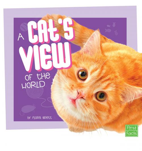 Cover of the book A Cat's View of the World by Flora Brett, Capstone
