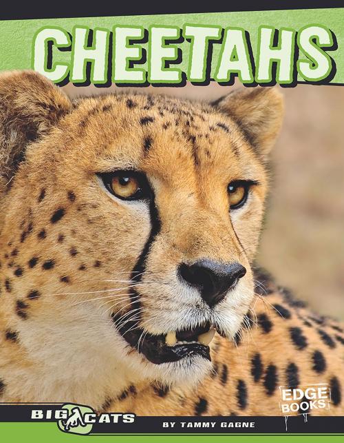 Cover of the book Cheetahs by Tammy Ann Gagne, Capstone