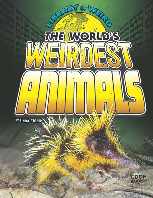 Cover of the book The World's Weirdest Animals by Lindsy Jo O'Brien, Capstone