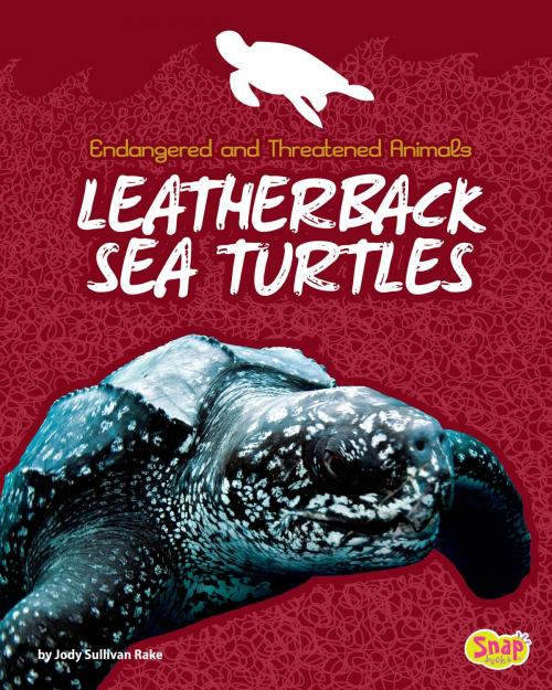 Cover of the book Leatherback Sea Turtles by Jody Sullivan Rake, Capstone