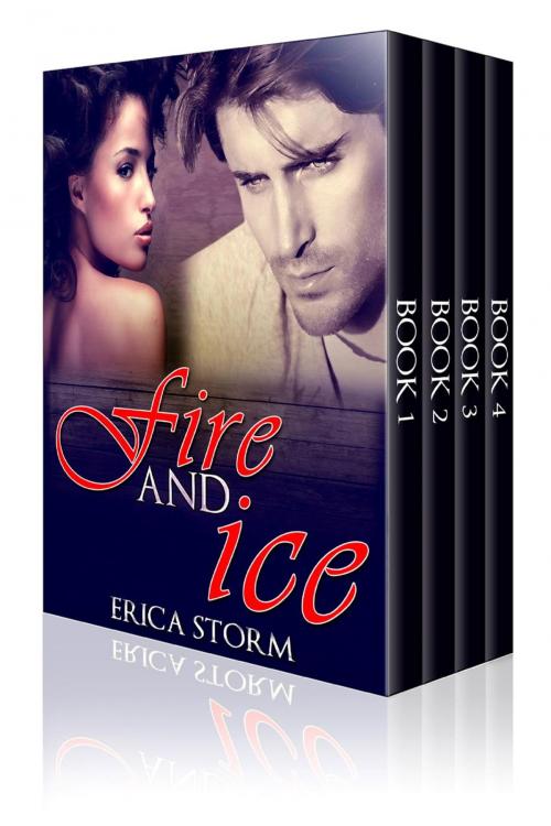 Cover of the book Fire and Ice Box Set by Erica Storm, Erica Storm
