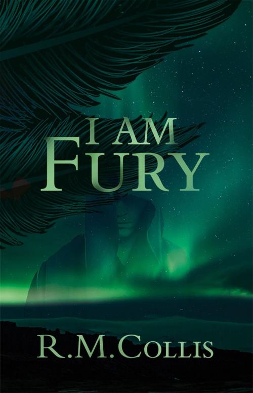 Cover of the book I Am Fury by R. M. COLLIS, R M Nicholls