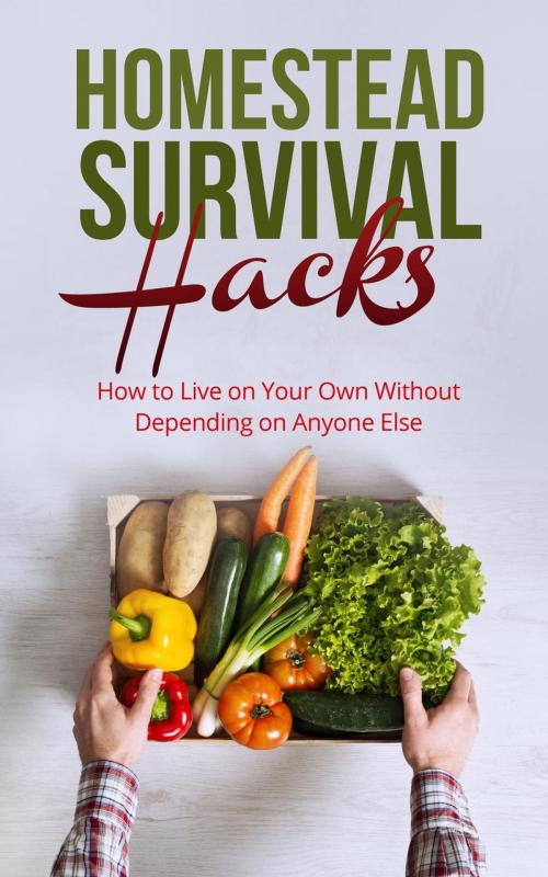 Cover of the book Homestead Survival Hacks How to Live on Your Own Without Depending on Anyone Else by Amy Lambert, Amy Lambert