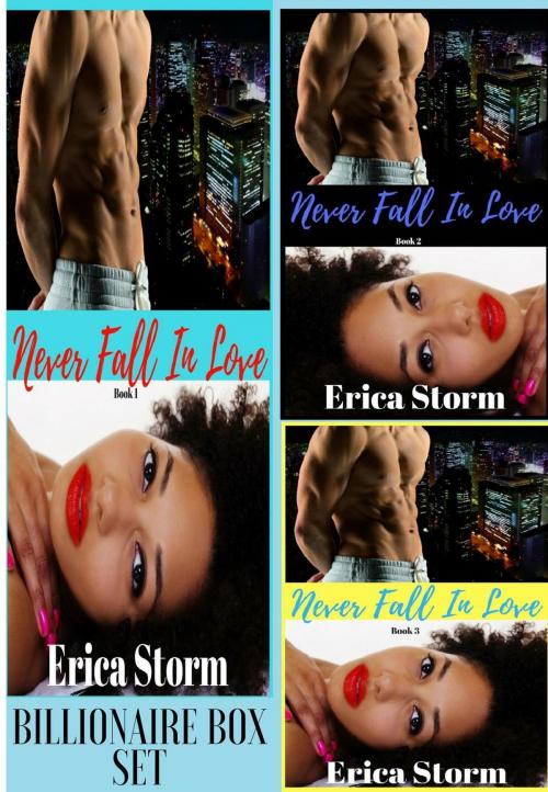 Cover of the book Never Fall In Love Box Set by Erica Storm, Erica Storm