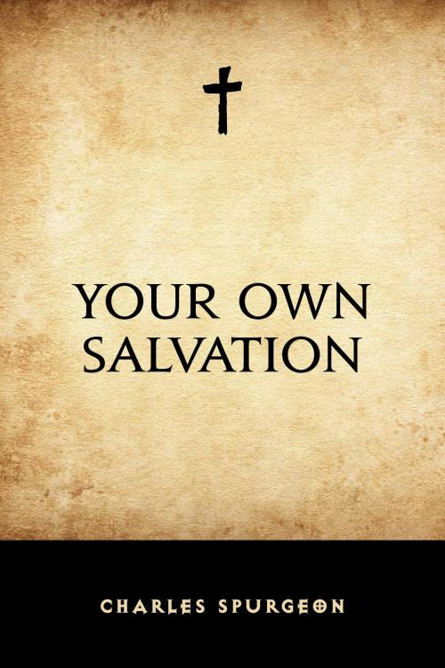 Cover of the book Your Own Salvation by Charles Spurgeon, Krill Press