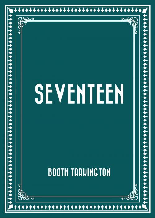 Cover of the book Seventeen by Booth Tarkington, Krill Press