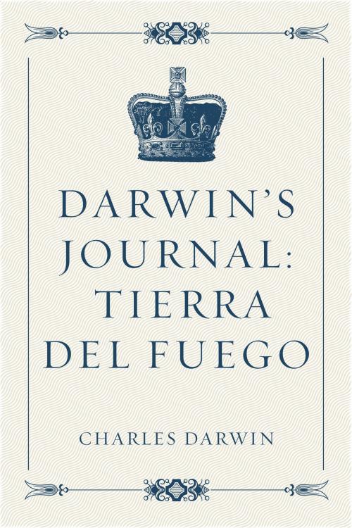 Cover of the book Darwin’s Journal: Tierra del Fuego by Charles Darwin, Krill Press